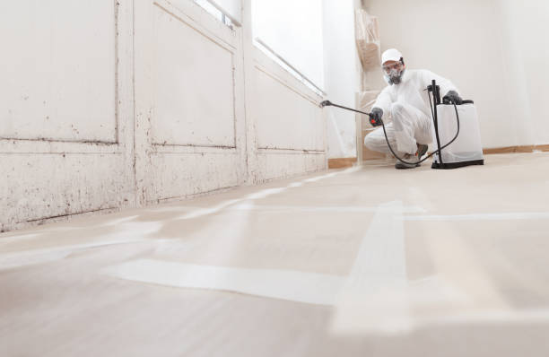 24/7 Emergency Mold Inspection experts in Long Branch, NJ
