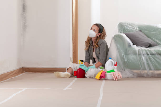 Reliable Mold Inspection contractor in Long Branch, NJ by WQB Mold Removal